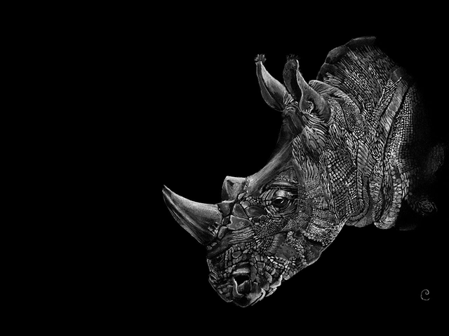 Reproduction Aquarelle Rhinocéros sur Alu - Tirage limité, numéroté et signé - 30x40cm