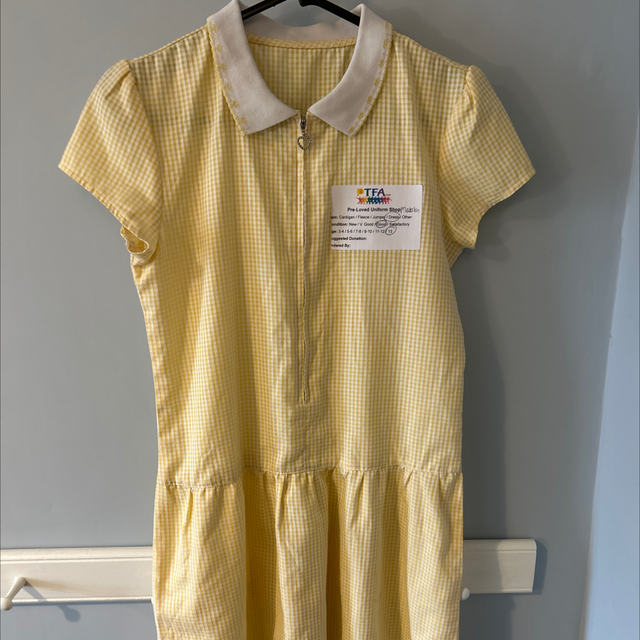 Dress - Age 13 - Matalan (Zip) (good condition)