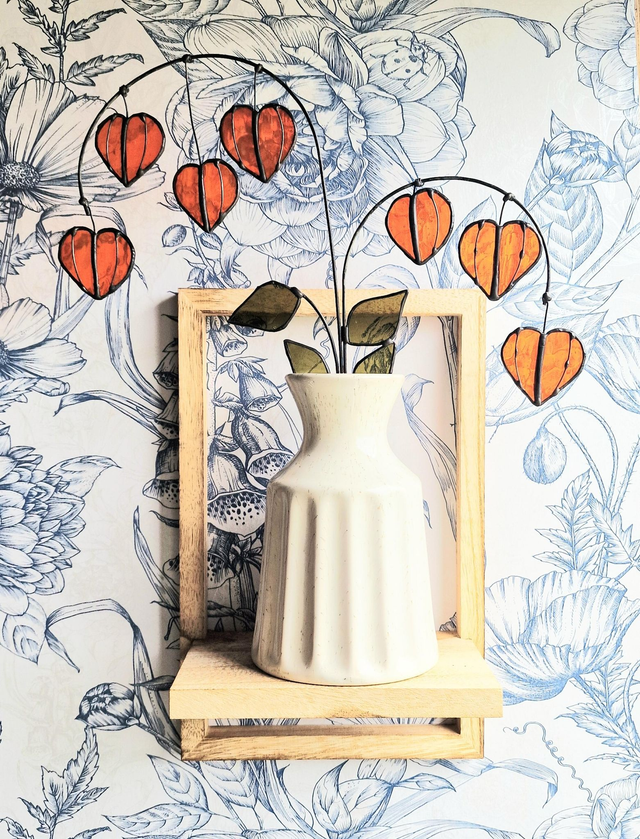 Chinese Lantern Plant Stem 