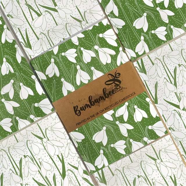  Snowdrop Notebooks x2