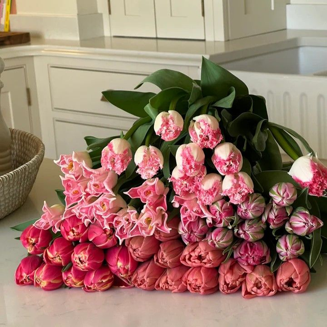 Mother's Day - Specialty Tulips (pre-order)