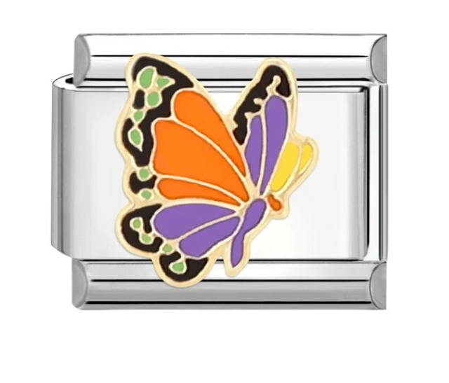 Charm Mariposa colores