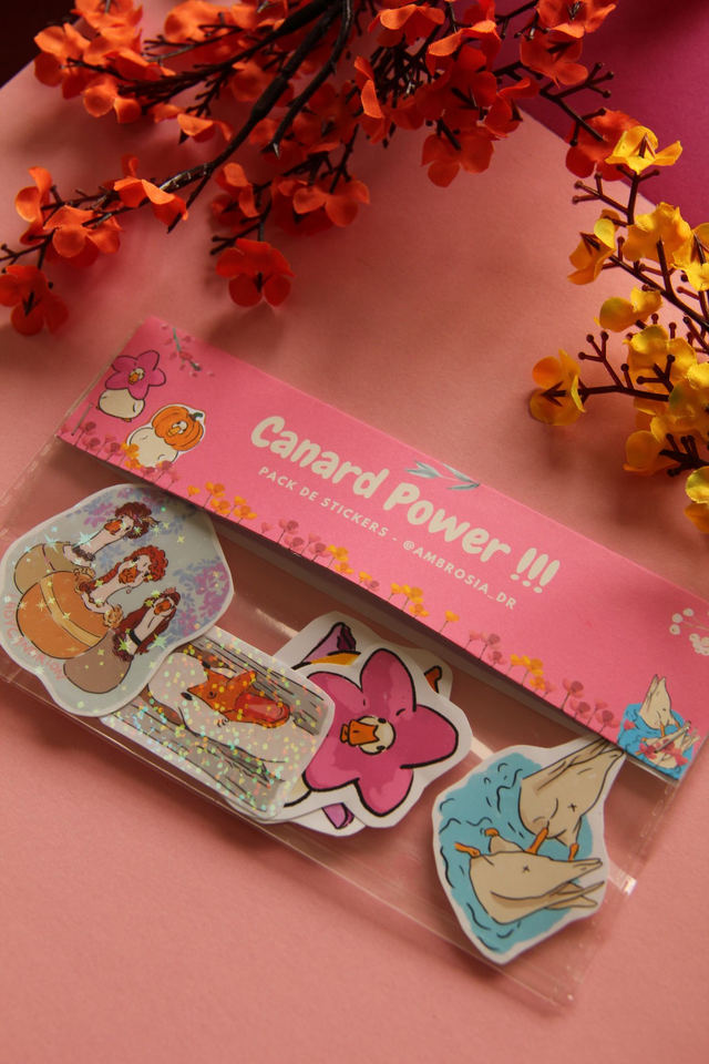 Pack de stickers canard Power !!