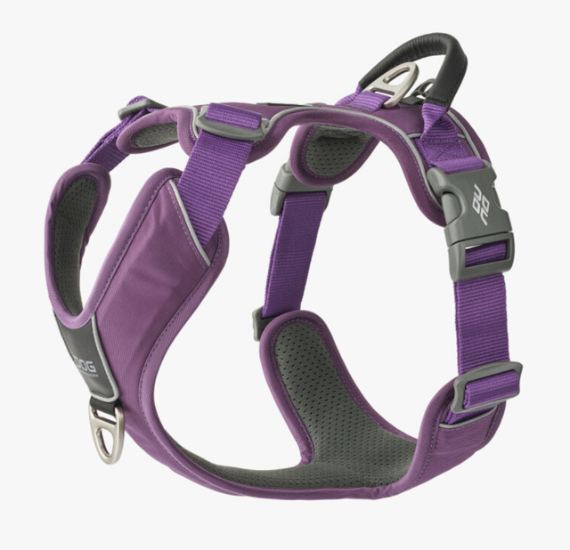 V3 Comfort Walk Pro 'Purple Passion' Geschirr von Dog Copenhagen
