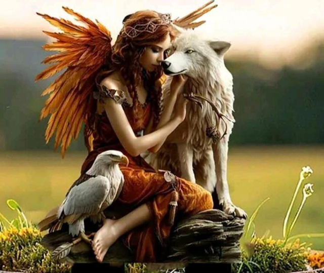 Déco photo loup blanc 