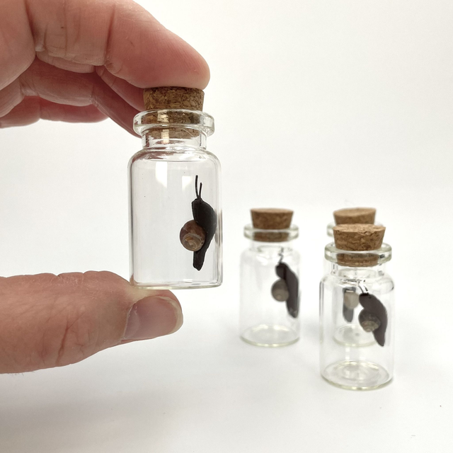 Micro Snail in a Bottle