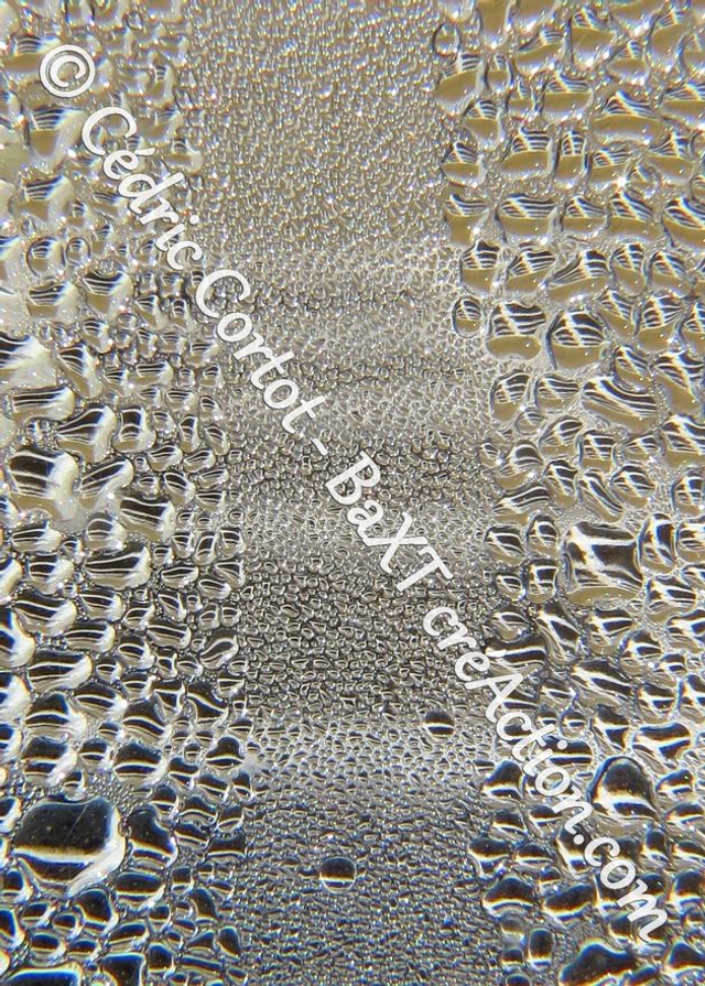 1 - Carte postale - Rosée et gouttes de pluie (Ref 8796)