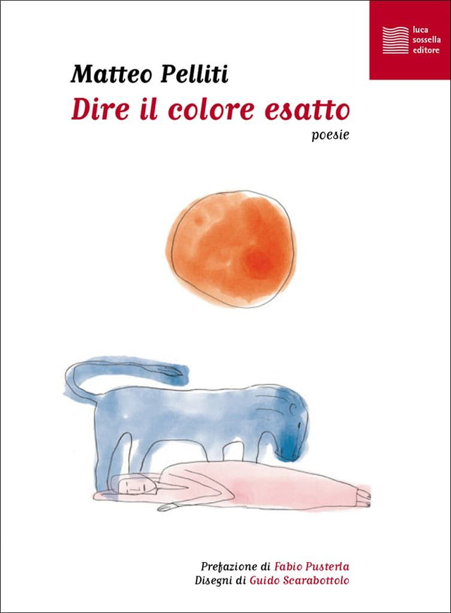 Pelitti Matteo - Dire il colore esatto