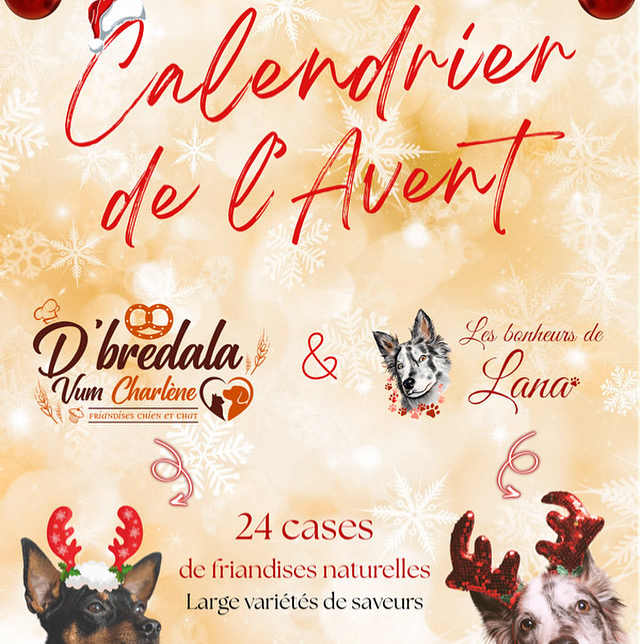 Calendrier de l'avent