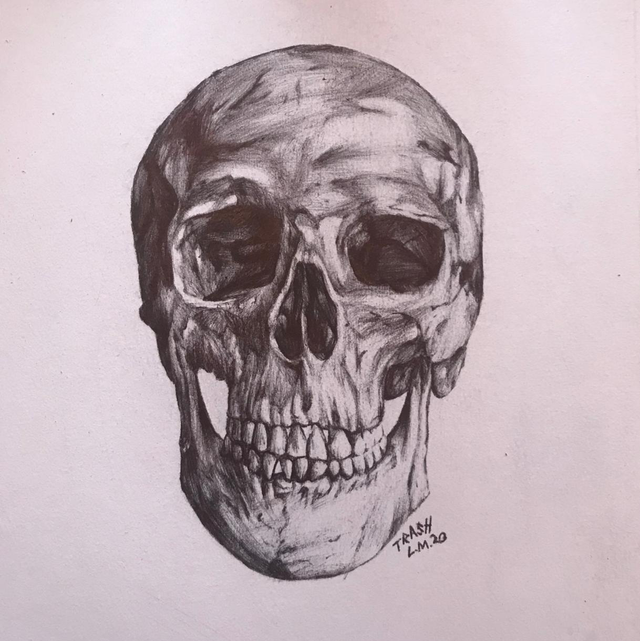 Skull Grey Bic Biro Limited Edition Print 