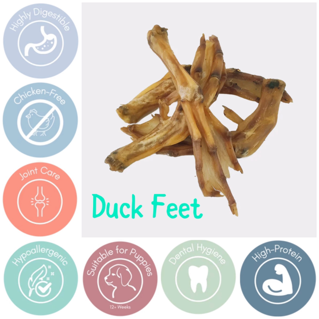 Duck feet 