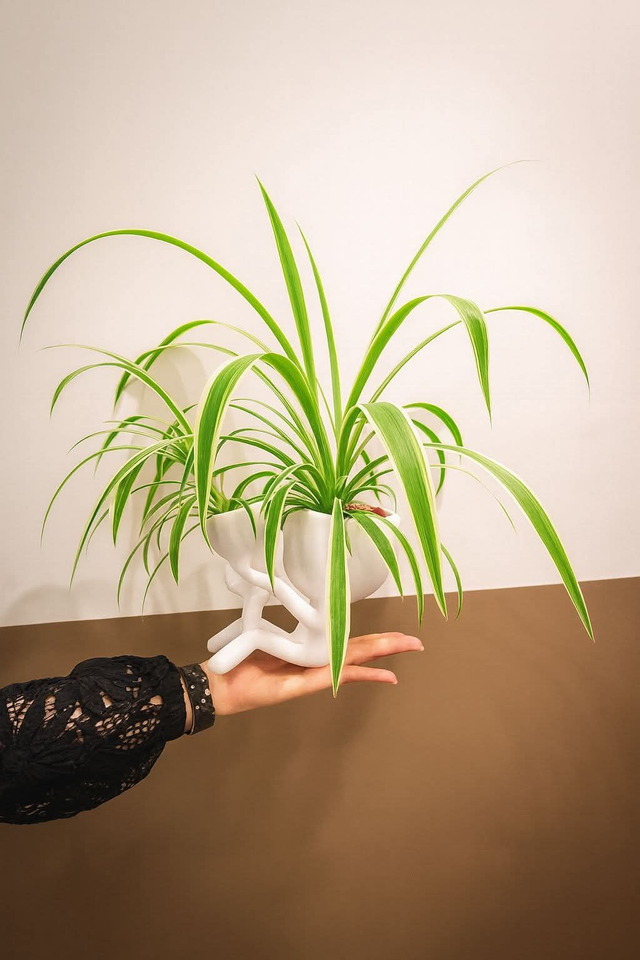 Pot fleur personnages bonhomme 