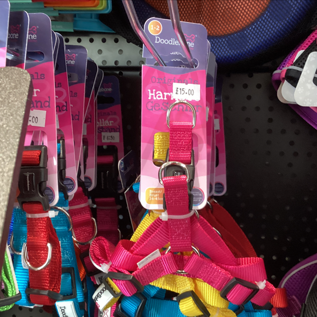 Doodlebone harness