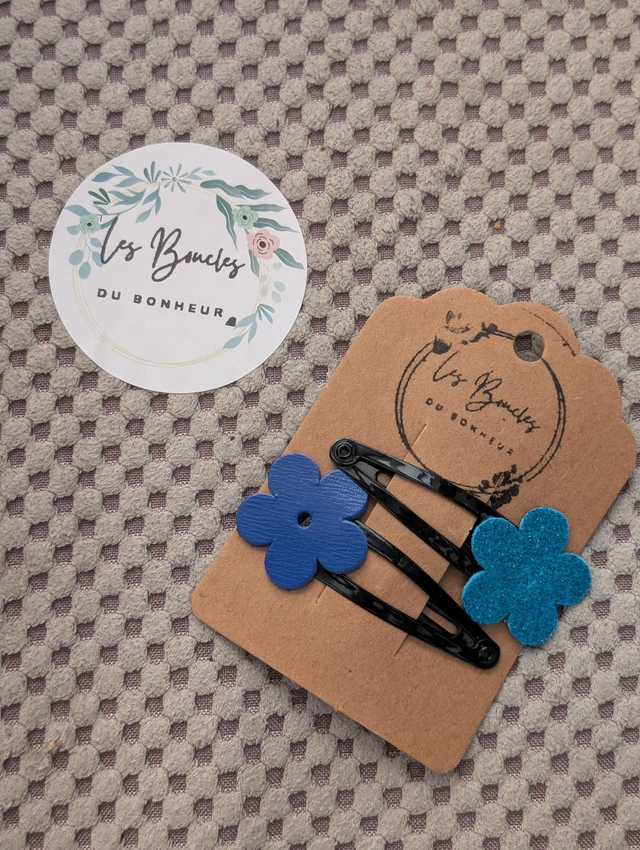 Barrette b077