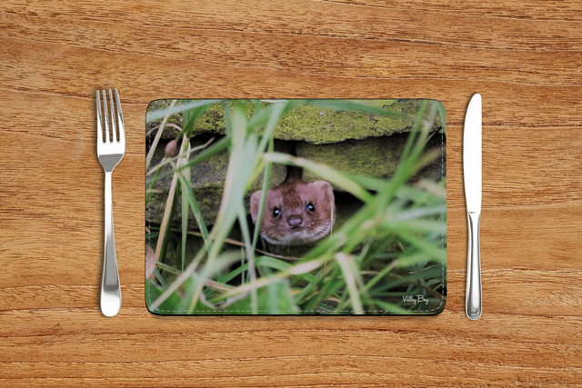 “Pop Goes the Weasel” Placemat  