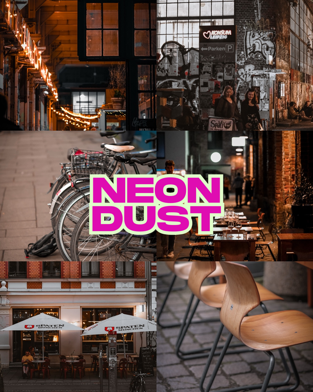 NEON DUST - 1 Preset (6 Styles) – Mein Look für deine Fotos