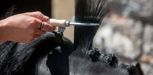 Smart Grooming Mane Comb