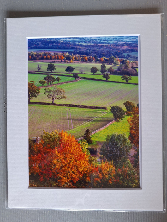 Mounted Photographs by Plantography - a view from Lyth Hill, Shropshire