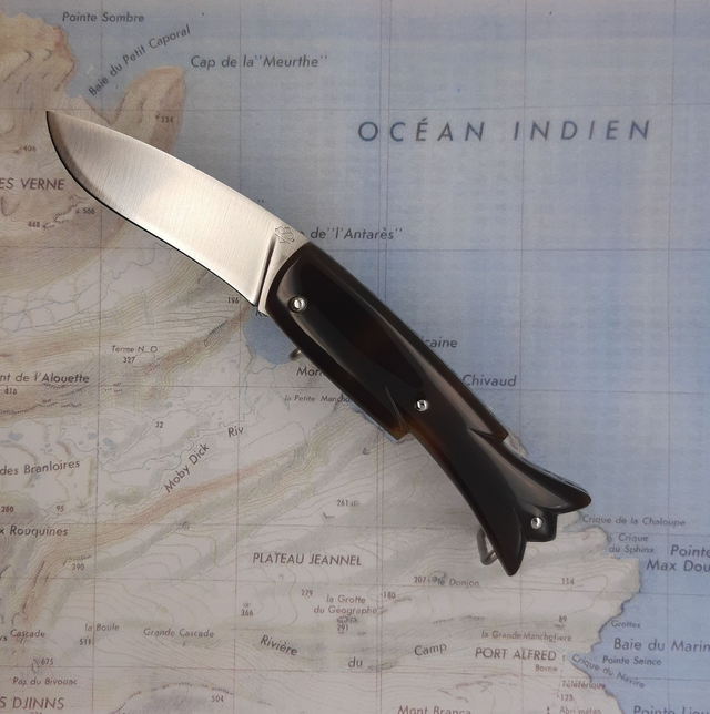 Austral acetate imitation tortu