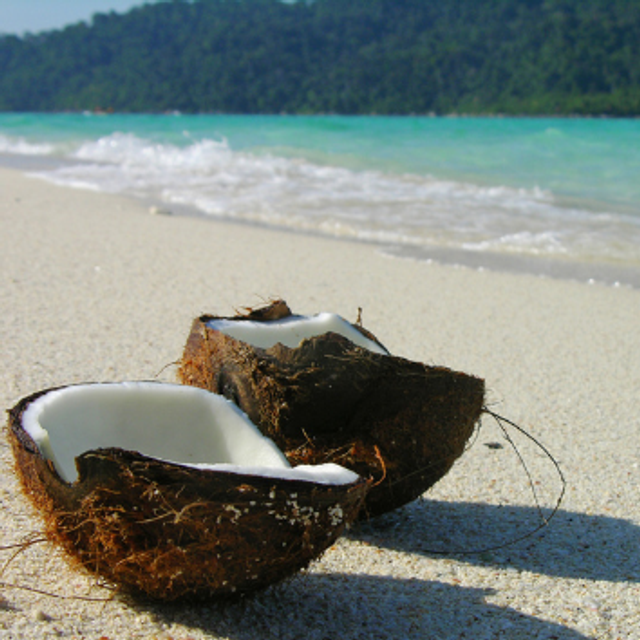 NOIX DE COCO GALET FONDANT