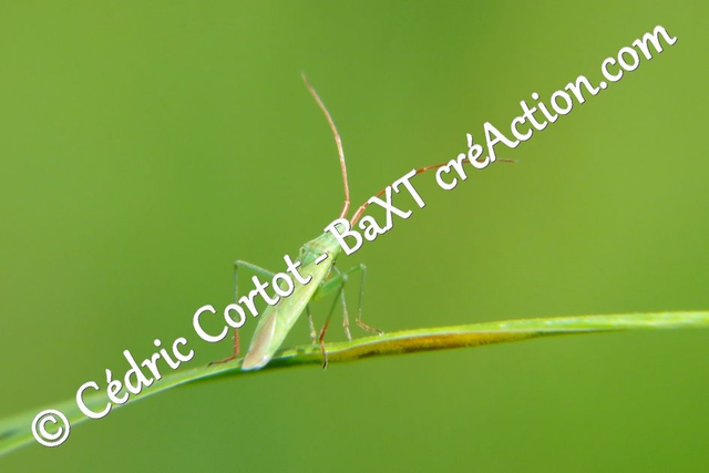 Impression sur alu dibond - Le petit monde du Vivant (ref 5468)