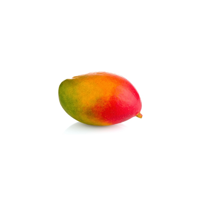 Mangue Bio