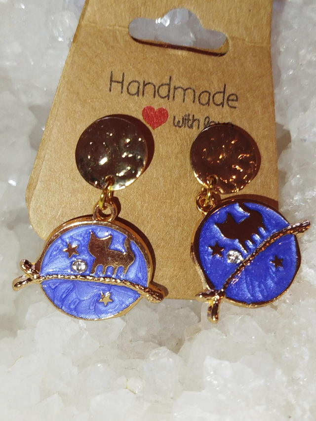 Chats sous les étoiles 