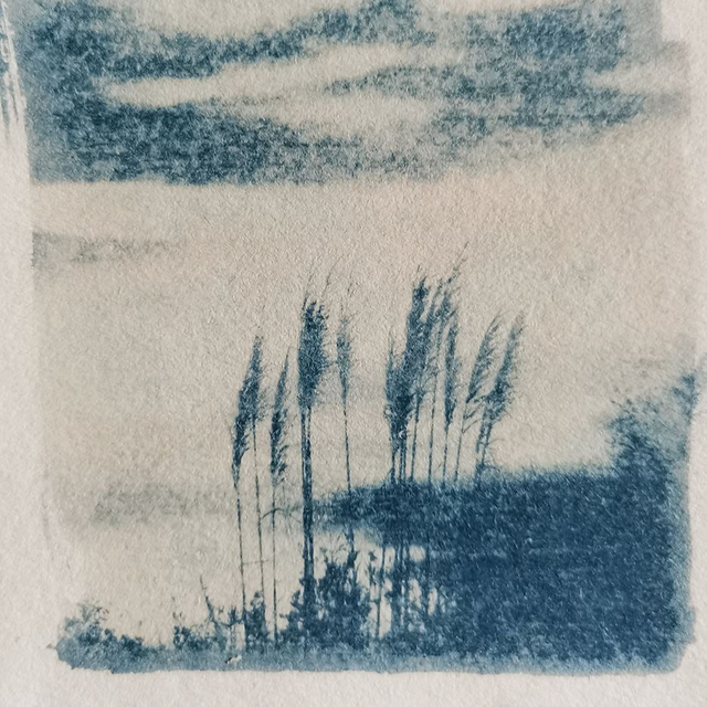 Atelier Cyanotype