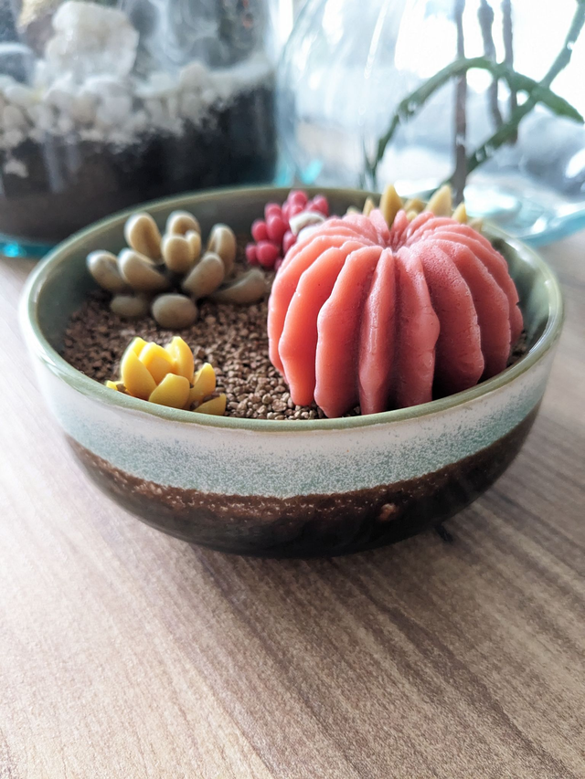 Terrarium couleur vert d'eau 