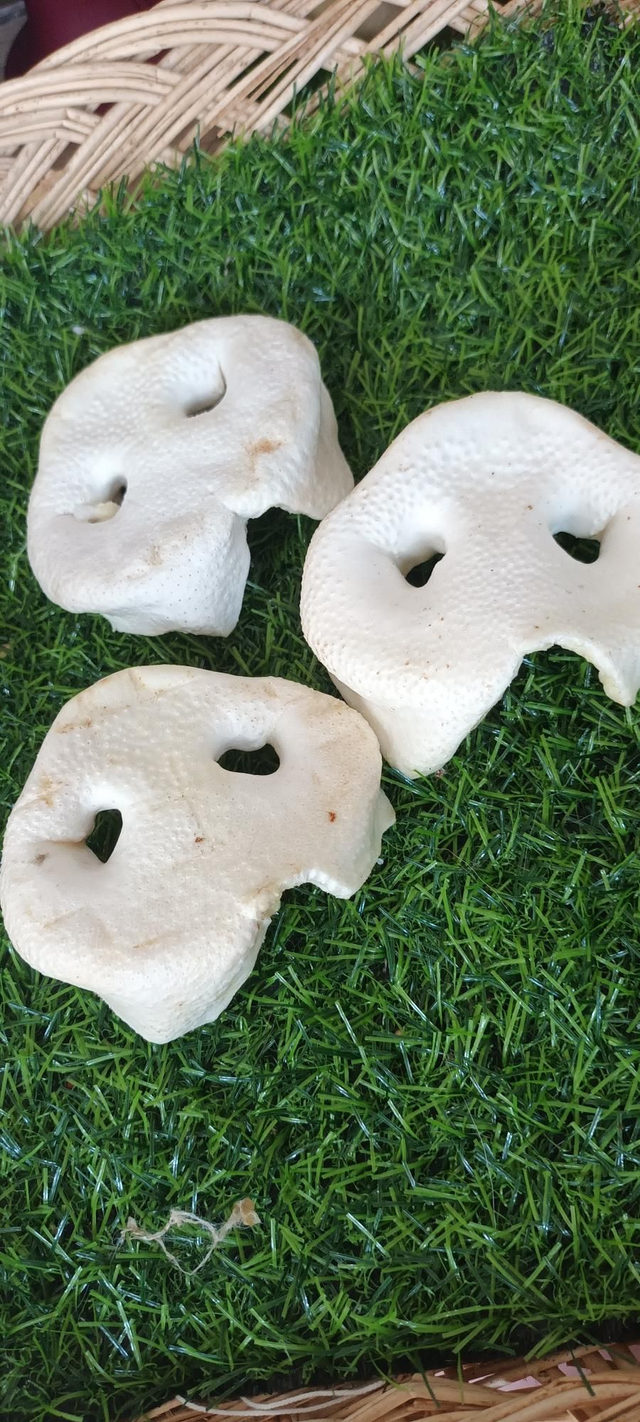 Puffed Pigs Snout x1