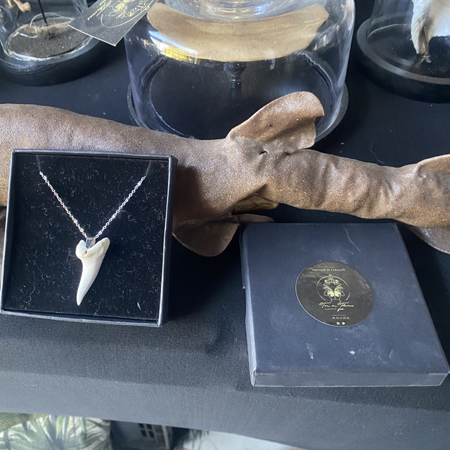 Collier dents de requins Mako