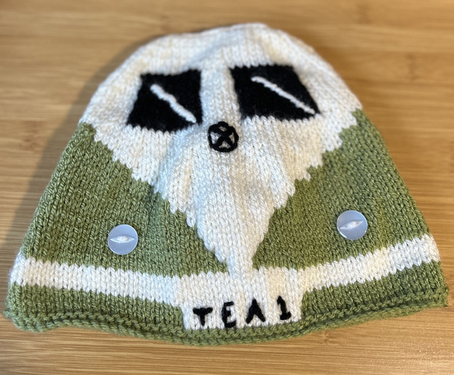 F1 Camper van Tea Cosy