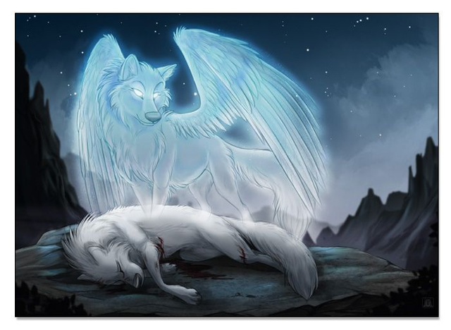 The Pain you feel today (A4)