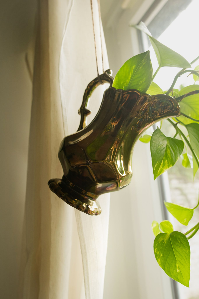 Baroque Roots 🖤 Pichet Holographique + Boutures