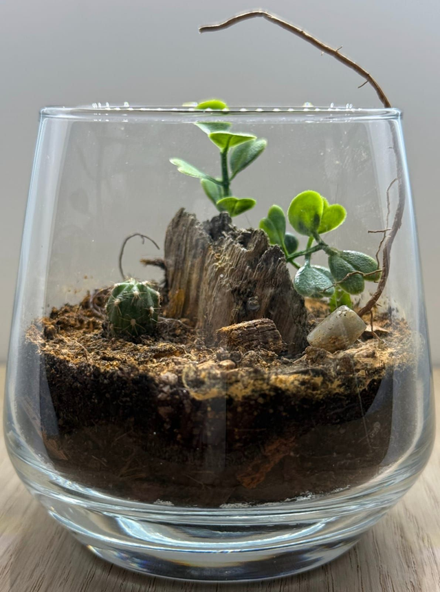 Bowo® BÉNIN connecté Home 