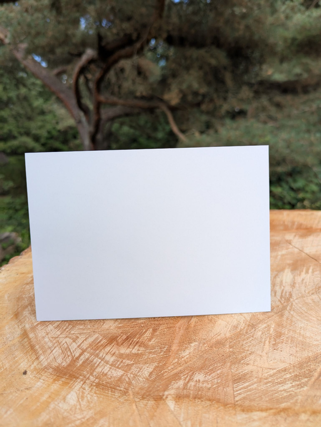 Carte postale Baleine