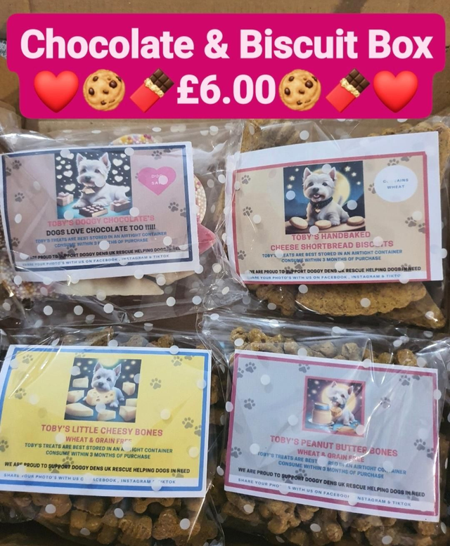 CHOCOLATE &amp; BISCUIT BOX🍪🍫