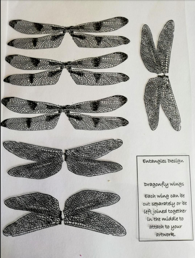 Acetate Dragonfly Wings