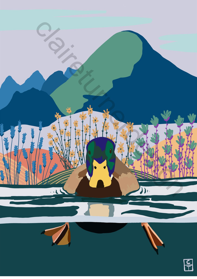 “Duck” Lac D'annecy Tirage Fine Art