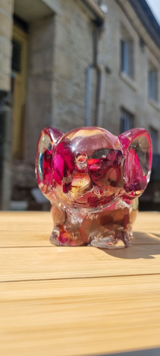 Eléphant avec des pétales de rose