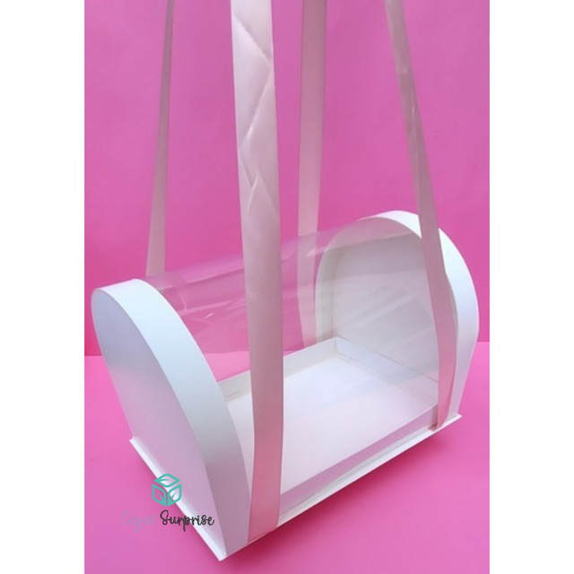 Caja Buzon Acetato Con Azas