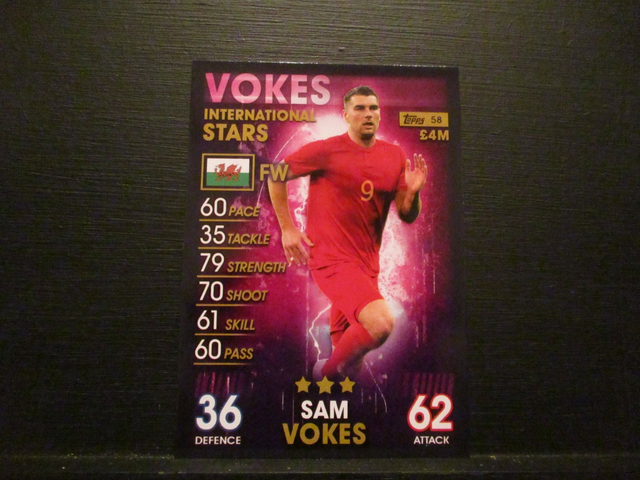 Sam Vokes - International Stars Match Attax 101 Original Trading Card