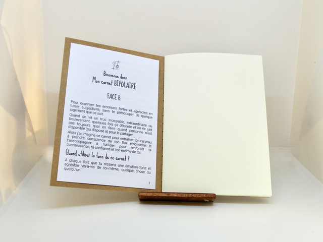 Mon cahier Bipolaire