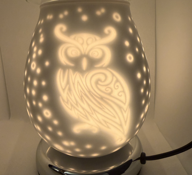Owl Electric Touch Burner