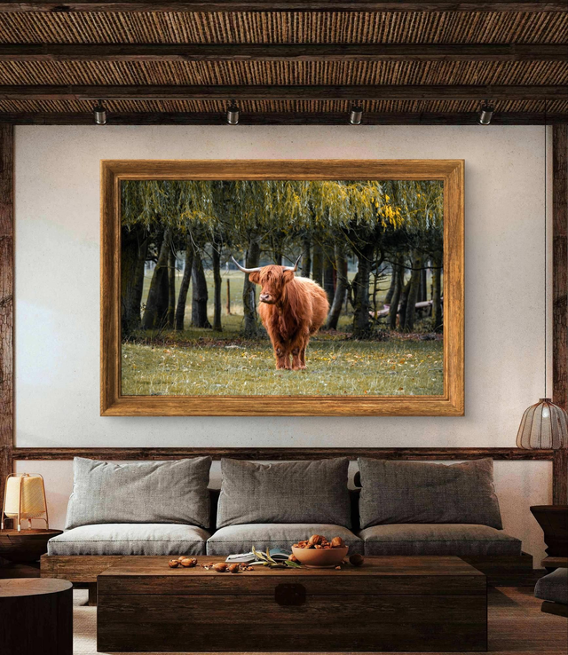 Highland Cow - Print Only 