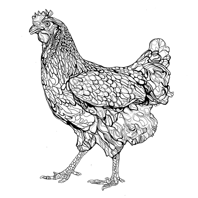 B&W A3 print - chicken