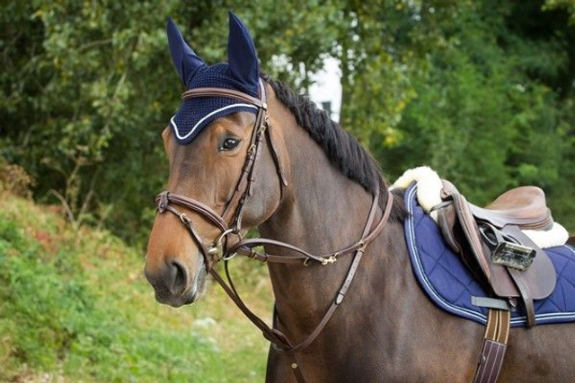 Enrênement HFI Howlett / Thiedeman