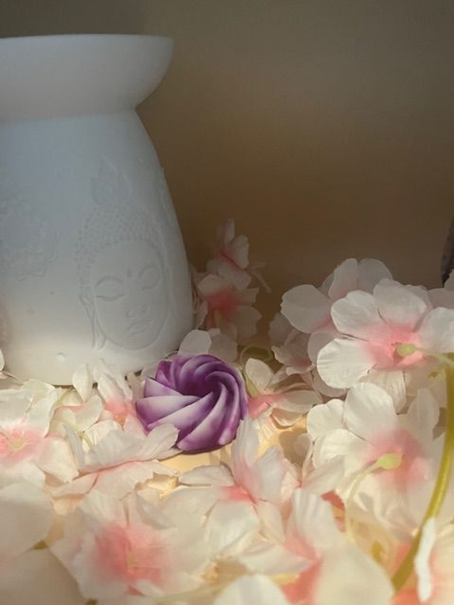 Fondant parfumé Ame soeur - 18 grammes