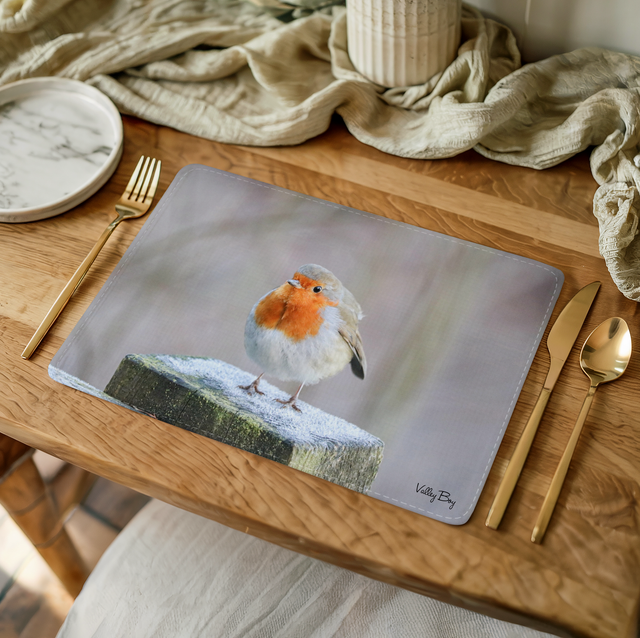 “Frosty Toes” Placemat 