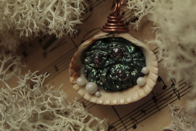 Coquillage Métamorphe- n°2